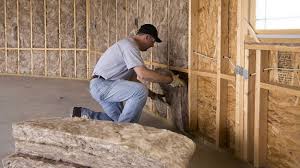 Best Insulation for New Construction  in Fredonia, WI