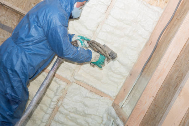 Best Spray Foam Insulation  in Fredonia, WI