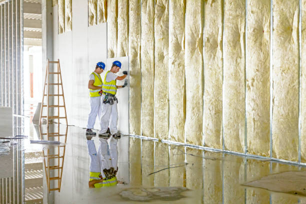 Best Batt and Roll Insulation  in Fredonia, WI